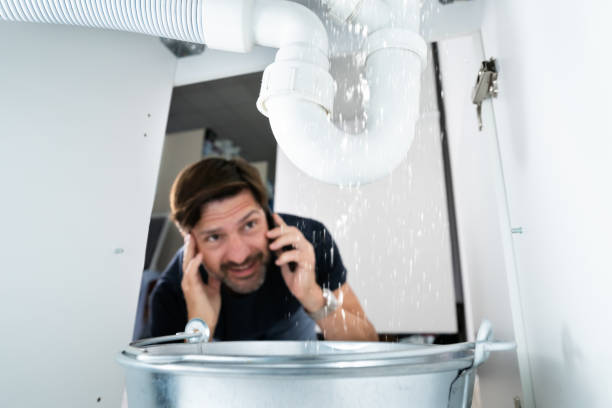 Best Septic Systems  in Pioneer, CA
