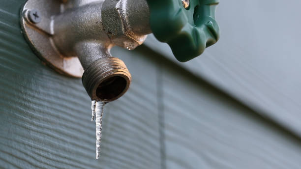 Best Sewer Line Repair  in Pioneer, CA